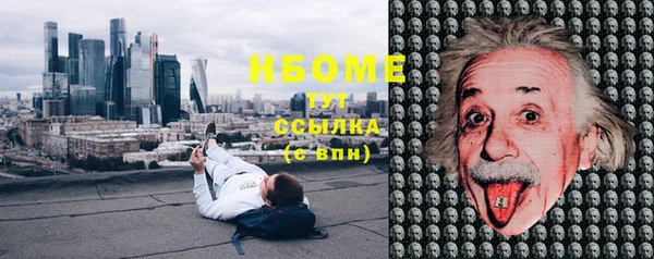 стаф Балахна