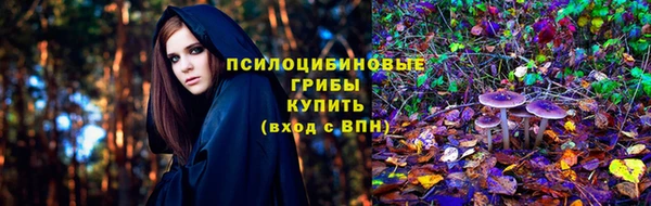стаф Балахна