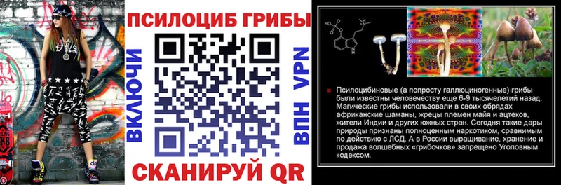 наркошоп  Зеленокумск  Псилоцибиновые грибы Psilocybine cubensis 
